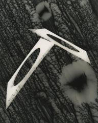 Yin and Yang in Flight, 1956 Abstract Photomontage