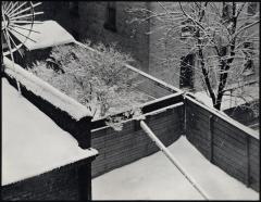 Snow, backyards, New York City, 1914