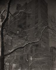 Winter New York, 2005