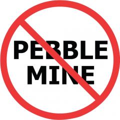 NO PEBBLE MINE