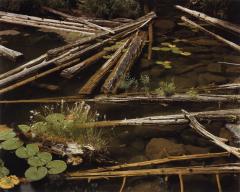 Trappers Lake, Minnesota, 1979