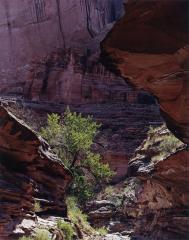 Coyote Gulch, Escalante River, August 17, 1971