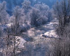 Early Morning, Provo River, Utah, 1989