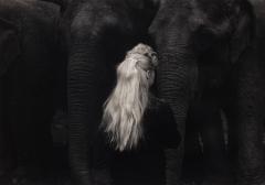 Elephant Girl, Philadelphia, 1965