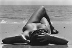 Genese, Camargue, 1973