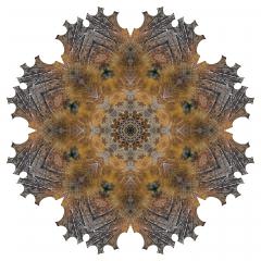 Sageaspen Shield, 2014