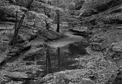 Stream In Autumn, OH, 1980