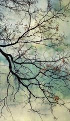 A Stained Glass World, 2020