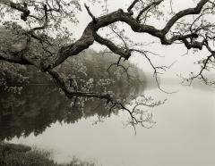 Salmon Falls River I, 2012