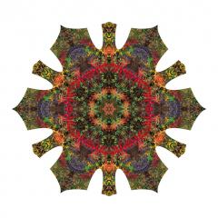 Clark Park Star, 2015