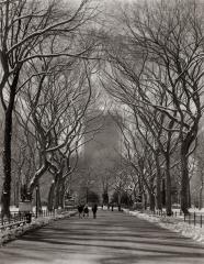 Central Park Poet’s Walk, New York, October, 2006