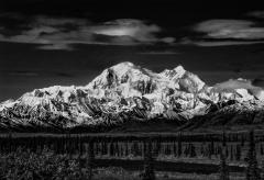 Denali at Dawn, Alaska, 2021
