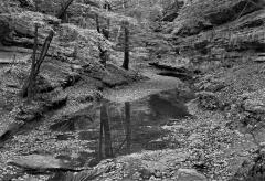 Stream In Autumn, Ohio, 1980