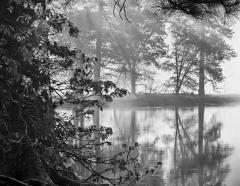 Morning Mist, Merced River, California, May 26, 1978