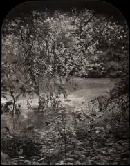 Wagner Cove, Central Park, New York City, 2006