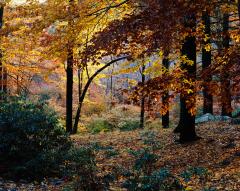 October 30, 1983 4:30 P.M.