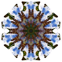 Head In The Clouds, 2018