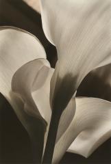 Callas III, 1989, NY