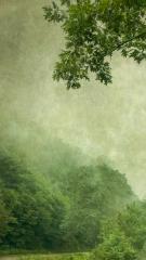 Into the Mist XVI, 2020