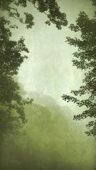 Into the Mist VI, 2020