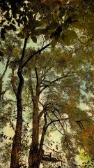 An End to Endings, 2021